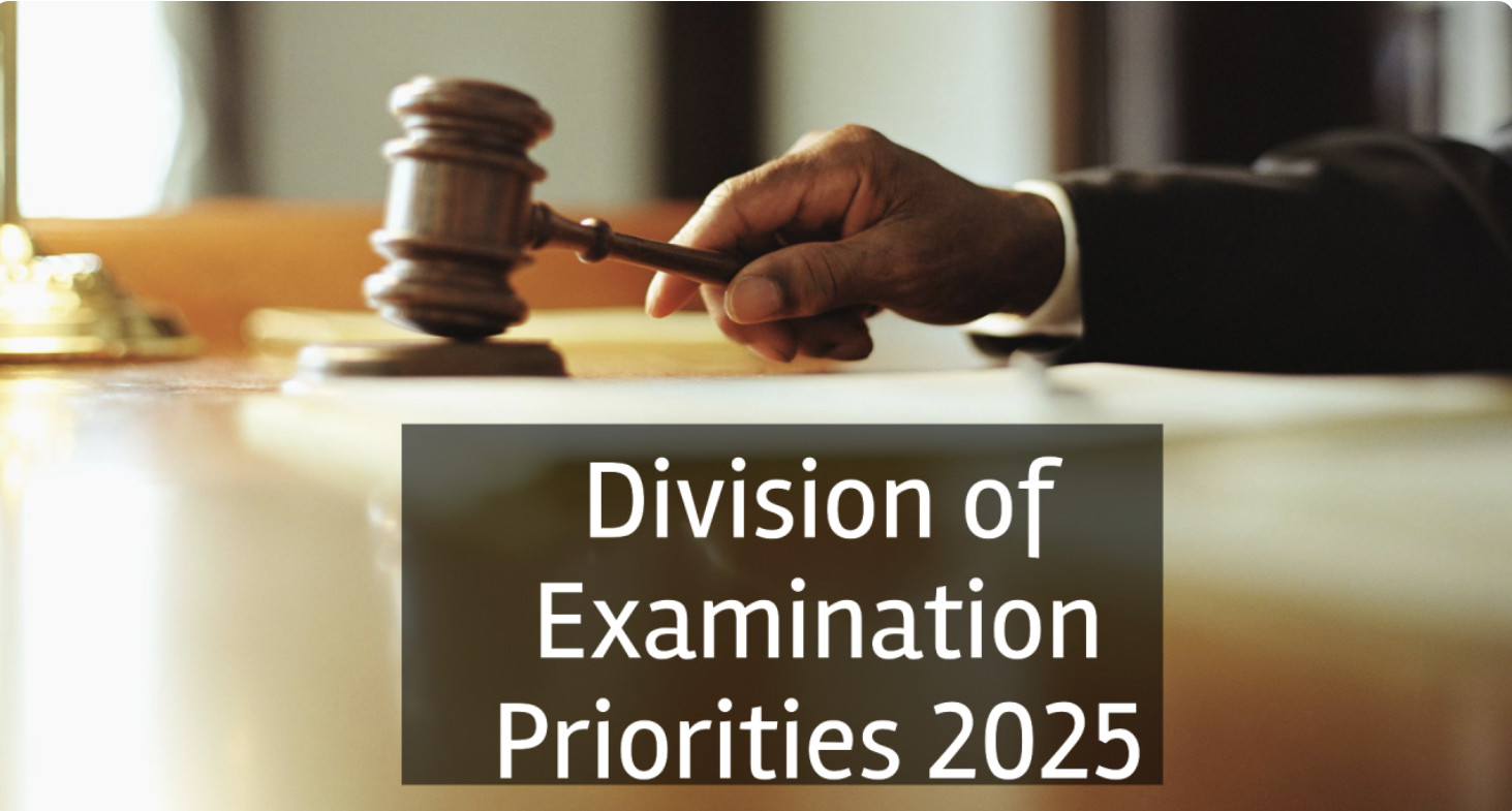 Division of Examination Priorities 2025 hero graphic
